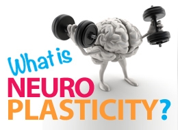 Neuroplasticity