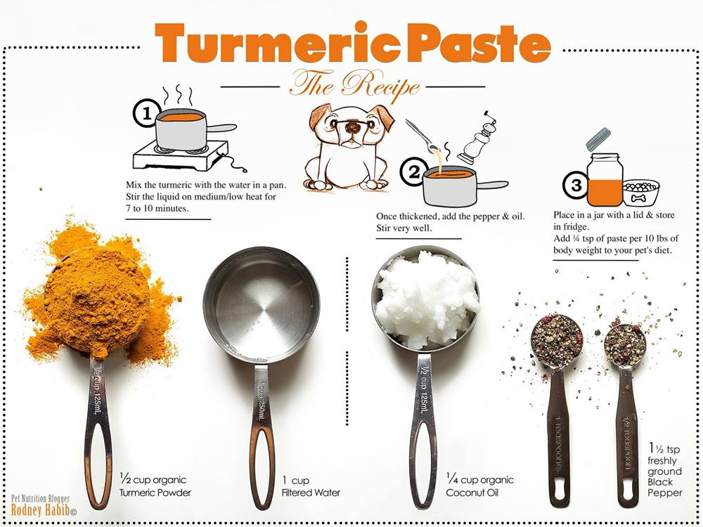 Turmeric Paste