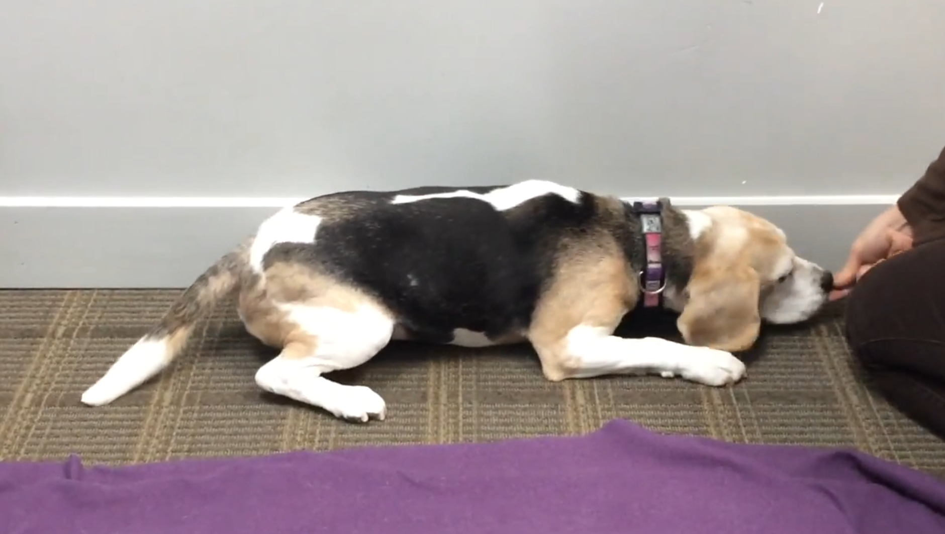 Pelvic Tilt in Sternal