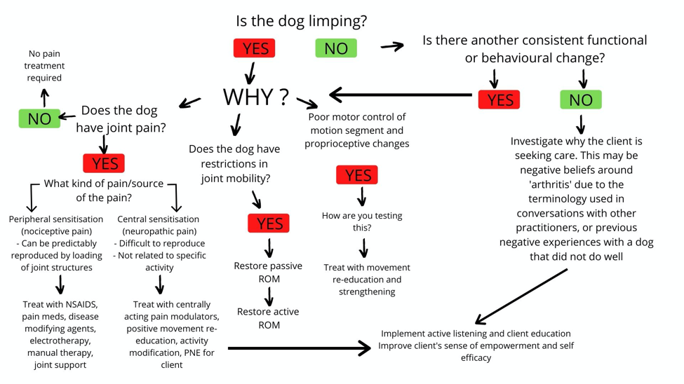 Arthritis Management Flow Chart