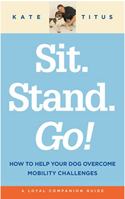 Sit Stand Go
