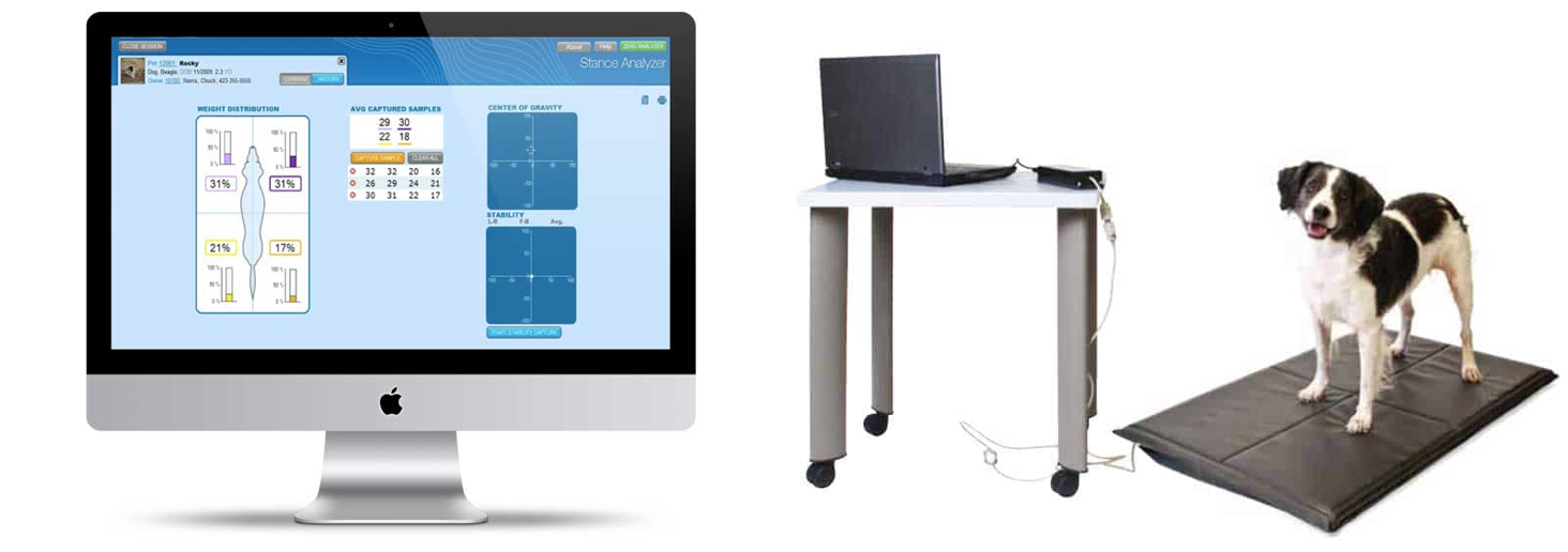 Stance Analyzer