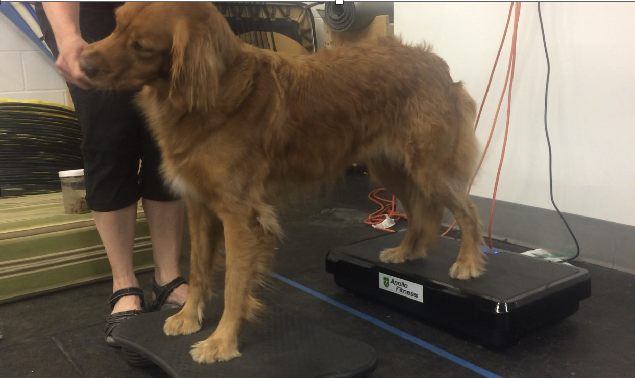 Jane on Vibration Platform