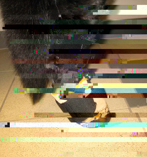 slipper with anchor cuff & suspenders.JPG